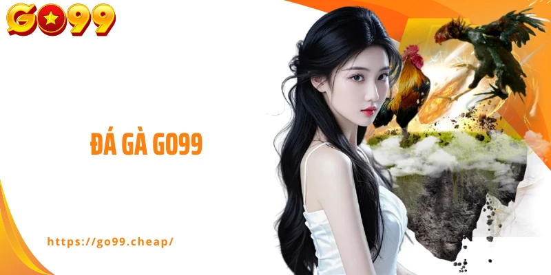 Đá Gà Go99 - Sân Chơi Đẳng Cấp Của Các Kê Thủ Hàng Đầu