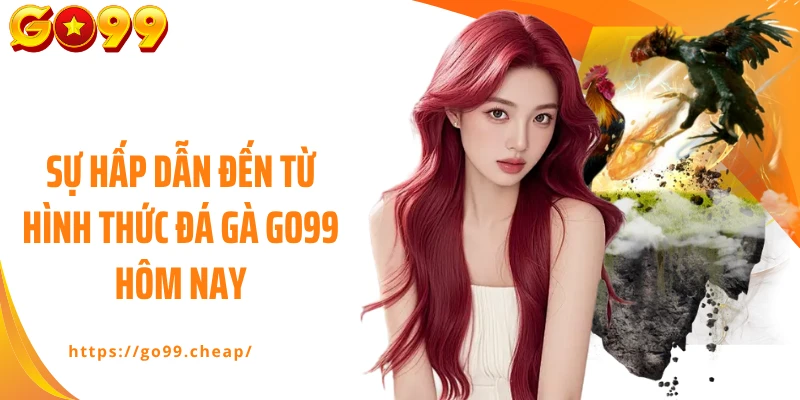 Sự hấp dẫn đến từ hình thức đá gà Go99 hôm nay